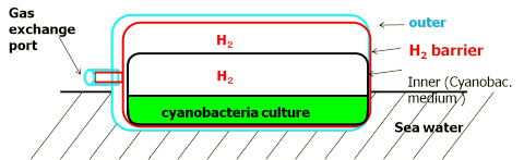 Bioreactor consist of 3-layerd plastic bags. It's spread over sea surface.